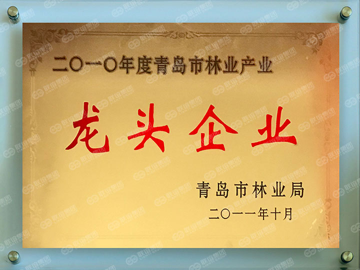龍頭企業(yè).jpg